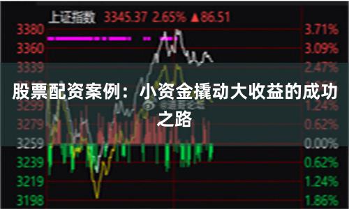 股票配资案例：小资金撬动大收益的成功之路