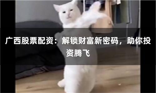 广西股票配资：解锁财富新密码，助你投资腾飞