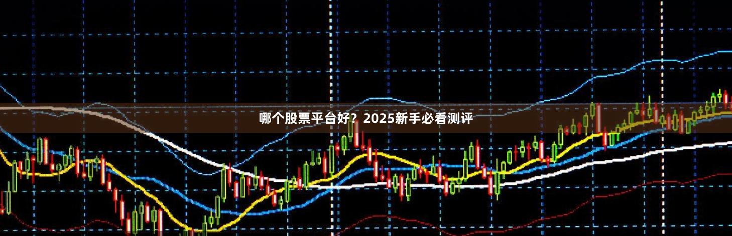 哪个股票平台好？2025新手必看测评
